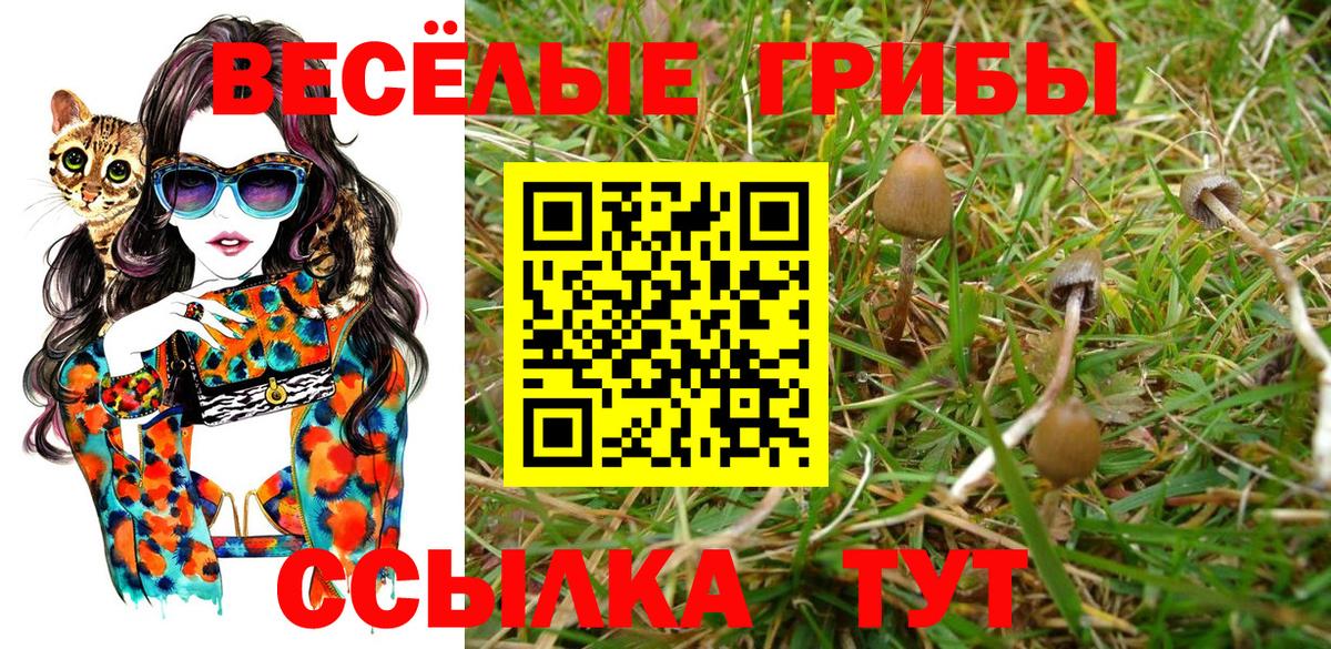 Галлюциногенные грибы Magic Shrooms  Вход с VPN  Чайковский 