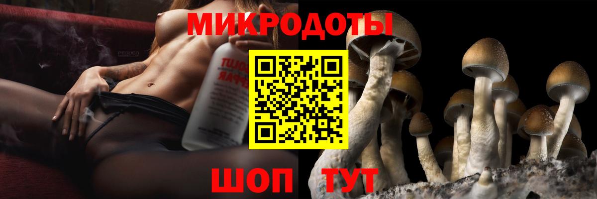 Галлюциногенные грибы Psilocybine cubensis Чайковский