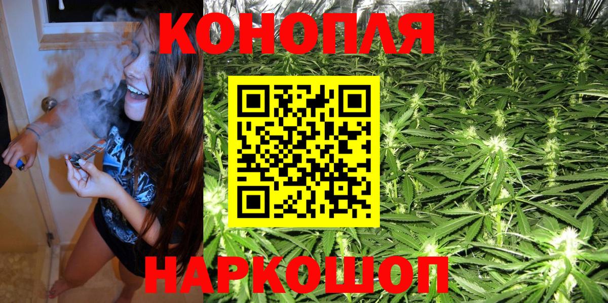 Бошки Шишки сатива Чайковский